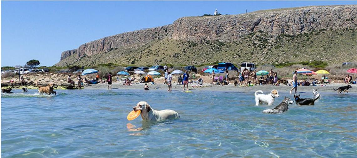 Adosado Tranquilo Con Piscina Y Vistas Al Mar Leilighet Puerto Marino Eksteriør bilde